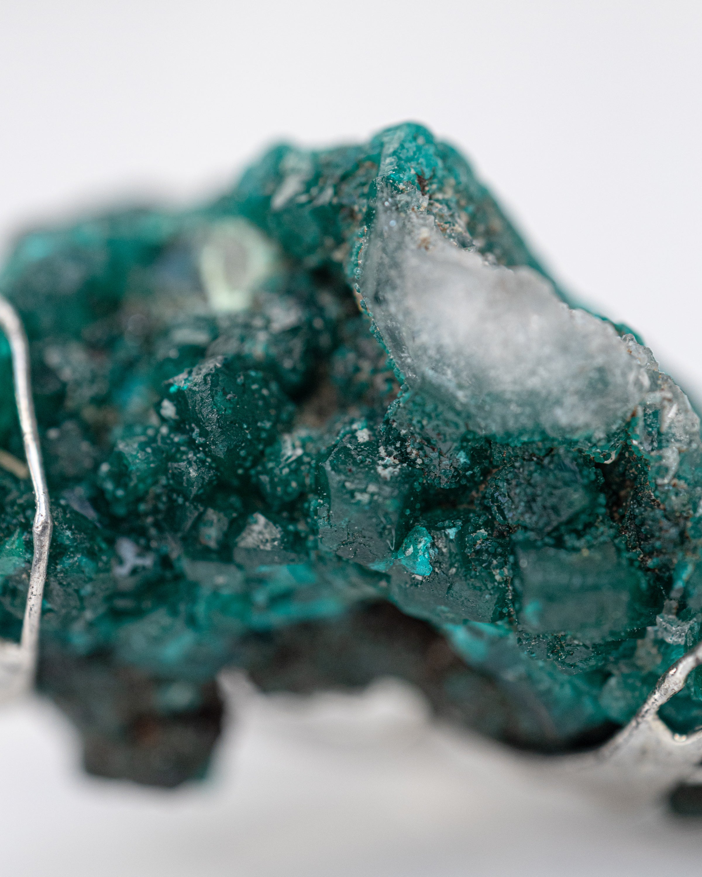 Valverde Earcuff Nella & Sina